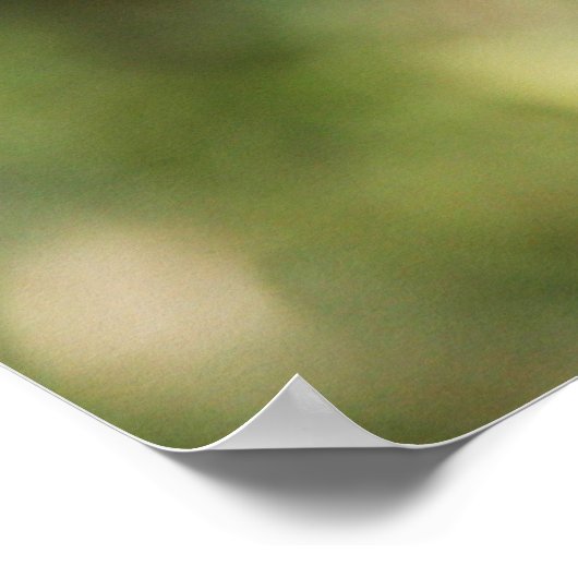 Poster Widow Skimmer (Coin)