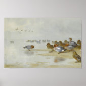Poster Wigeon et Turquoise au bord de l'eau, Art (Devant)