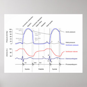 Poster Wiggers Diagram cardiaccycle events left ventricle