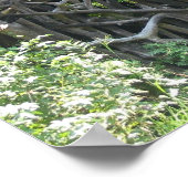 Poster wijnbouwkatoen (Hoek)