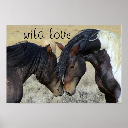 POSTER WILD ADORE LES CHEVAUX (Devant)