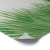 Poster Wild And Free Giraffe (Coin)