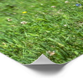 Poster Wild Boar (Coin)