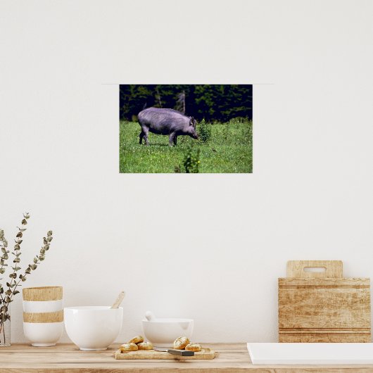 Poster Wild Boar (Cuisine)