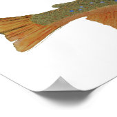 Poster Wild Brook Trout (Coin)