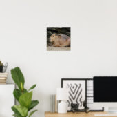 Poster Wild Capybara (Bureau à domicile)