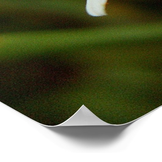 Poster Wild Daisy (Coin)