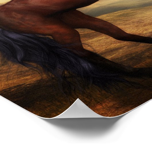 Poster Wild Horses (Coin)