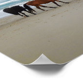 Poster Wild Horses Outer Banks Corolla NC (Coin)