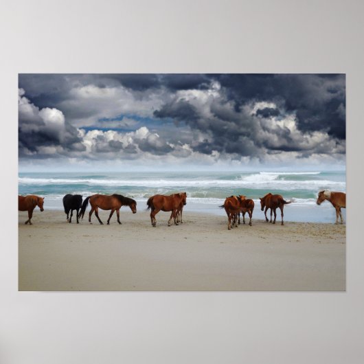 Poster Wild Horses Outer Banks Corolla NC (Devant)