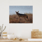 Poster Wild Jackal (Cuisine)