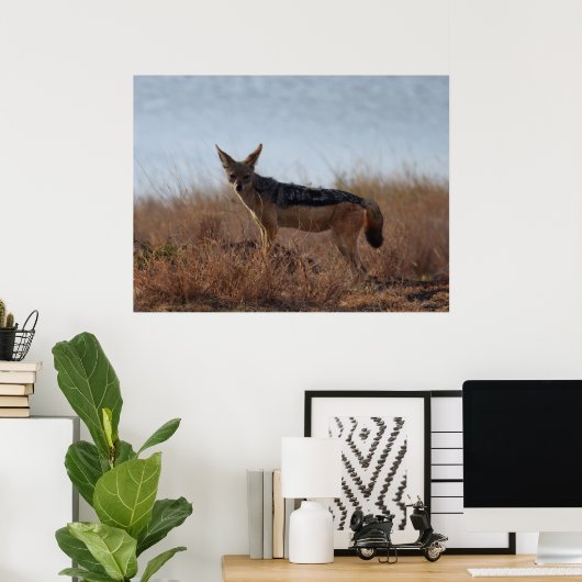 Poster Wild Jackal (Bureau à domicile)