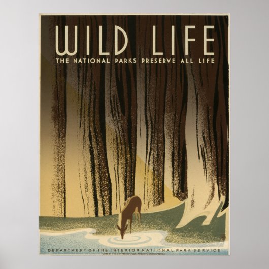 Poster Wild Life Vintage 1940 National Park Service (Devant)