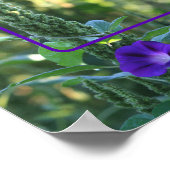 Poster Wild Morning Glory Flowame Ajouter Votre Photo (Coin)