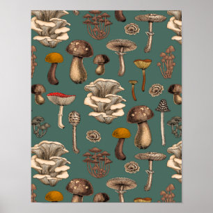 Poster Wild Mushrooms