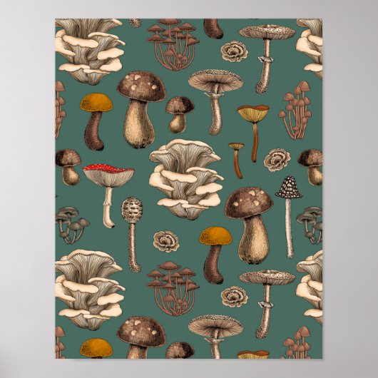 Poster Wild Mushrooms (Devant)