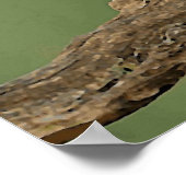 Poster Wild Oiseau de hibl (Coin)