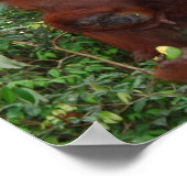 Poster Wild One animal mère et bébé (Coin)