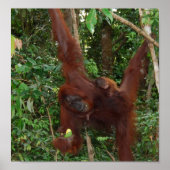 Poster Wild One animal mère et bébé (Devant)