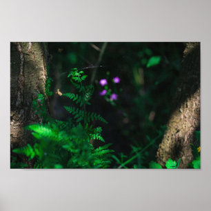 Poster Wild Purple Water Forest Flowers Fern