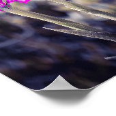 Poster Wild Pyramidal Orchids in Malta (Coin)