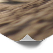 Poster Wild Ride (Coin)