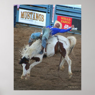 Poster Wild Ride - Reno Rodeo 2010