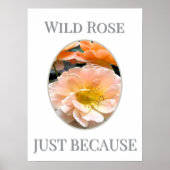 Poster Wild Rose Bloom (Devant)