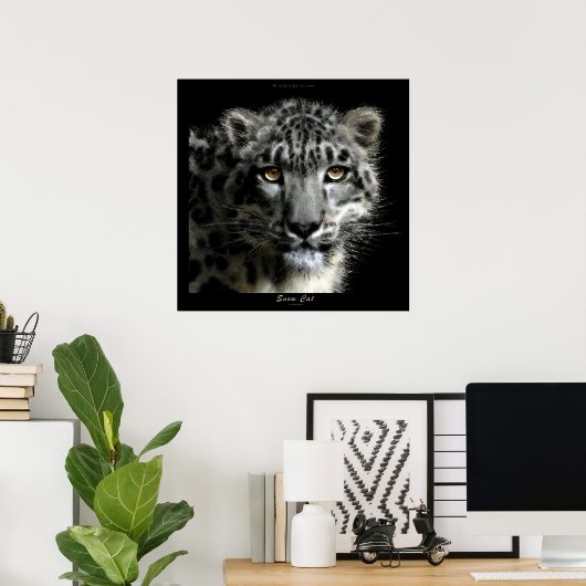 Poster WILD SNOW LEOPARD Art Imprimer (Bureau à domicile)