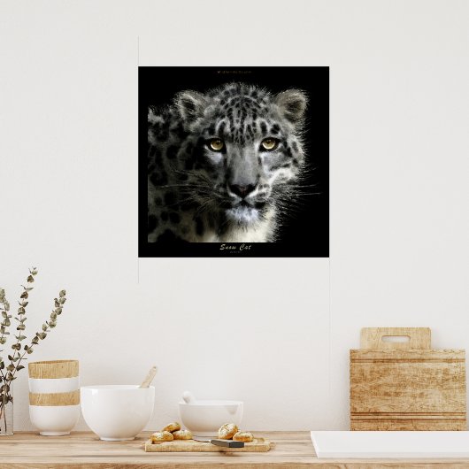 Poster WILD SNOW LEOPARD Art Imprimer (Cuisine)