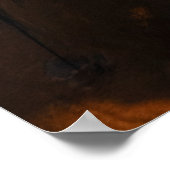 Poster Wild Stallion, Golden Light and Rainbow (Coin)