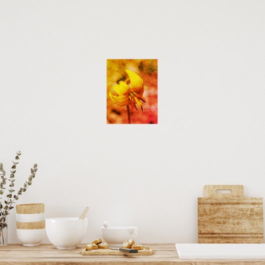 Poster Wild Trout Lily Flower And Insect Friend Abstract (Cuisine)
