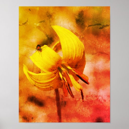 Poster Wild Trout Lily Flower And Insect Friend Abstract (Devant)