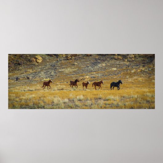 Poster Wild West (Devant)