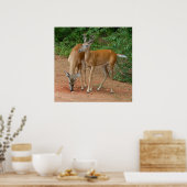 Poster Wild Young Bucks (Cuisine)