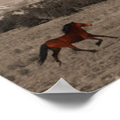 Poster wilde paarden (Hoek)