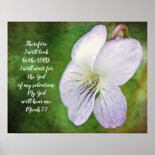 Poster Wilde Violet Flower Bible Scripting