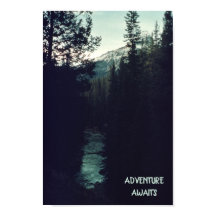 Wilderness des pins des Rocheuses canadiennes