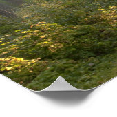 Poster Wilderness Drive, Itasca State Park, (Coin)