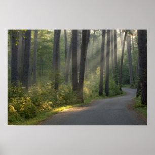 Poster Wilderness Drive, Itasca State Park,