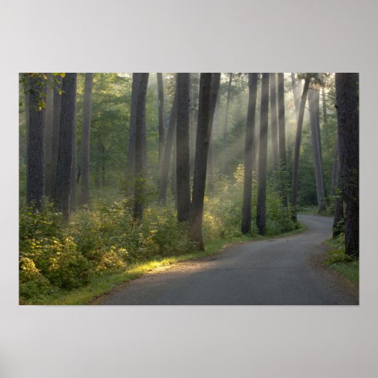 Poster Wilderness Drive, parc d'État d'Itasca, (Devant)