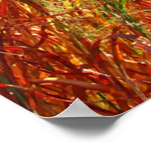 Poster "Wildfire" (Coin)