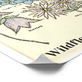 Poster Wildflowers of Michigan Hand Drawn Art Print (Coin)