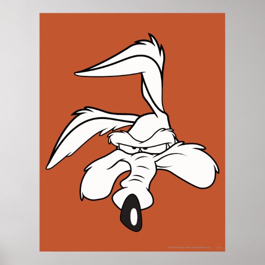 Poster Wile E. Coyote (Devant)