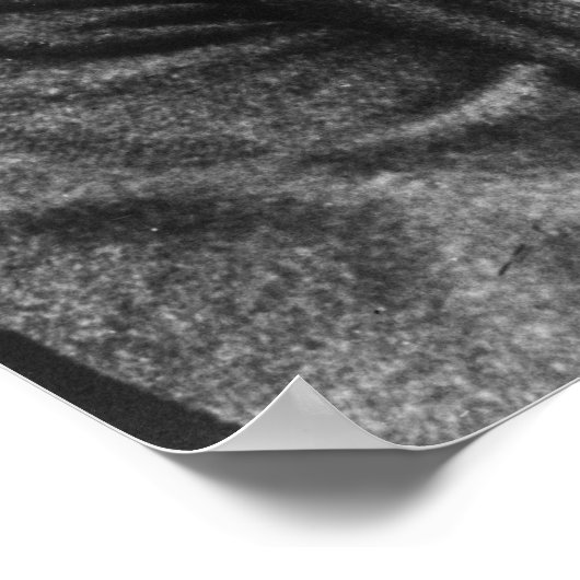 Poster Wilhelm Liebknecht (Coin)