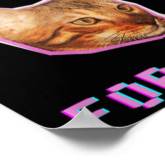 Poster Will Skiing For Cats Funny Winter Snow Adventure (Coin)