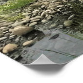 Poster Willamette River, Elijah Bristow State Park (Coin)