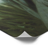 Poster William-Adolphe Bouguereau-Spring Breeze (Coin)