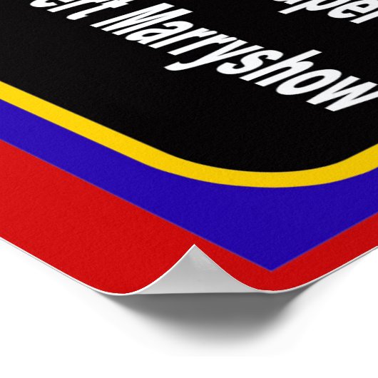 Poster William Galway Donovan Biographie (Coin)