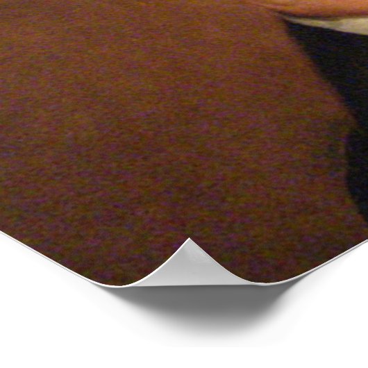 Poster William Henry Harrison 9 (Coin)